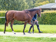 HC240925-60 - Rousham